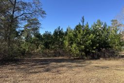 369 Sangaree Parkway  photo 4