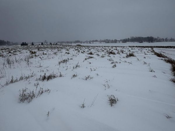 TBD 395th , Dent, MN 56528