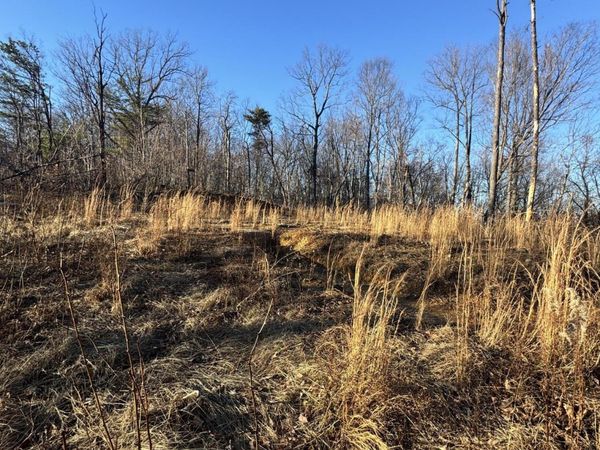 3361 Sugar Maple Loop Rd, Sevierville, TN 37862