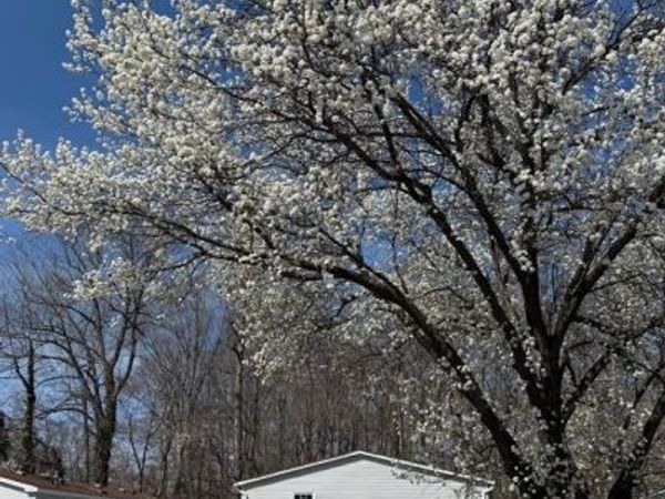 402 BOONES DRIVE, LOTHIAN, MD 20711