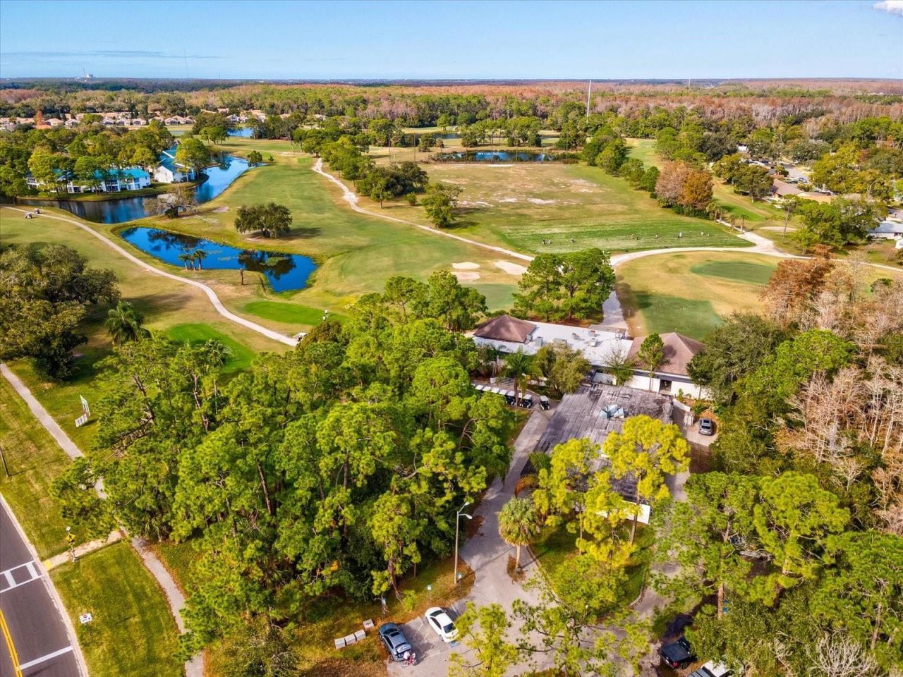 3718 Jacmel Way, Palm Harbor, FL 34685 Photo