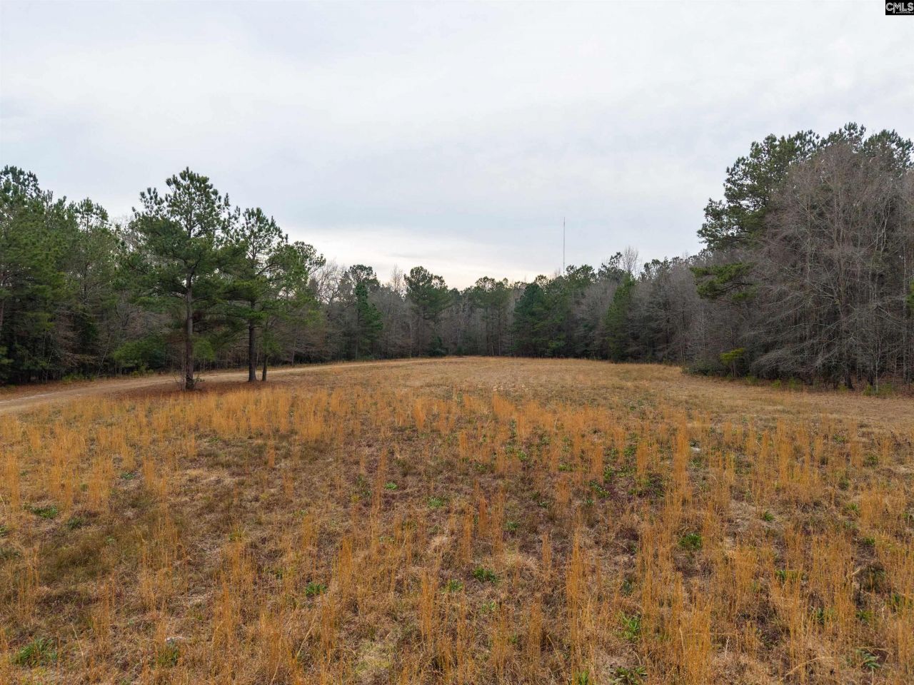 3901 Hardscrabble Road  Photo 10