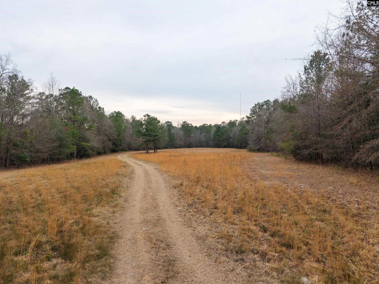 3901 Hardscrabble Road  Photo 11