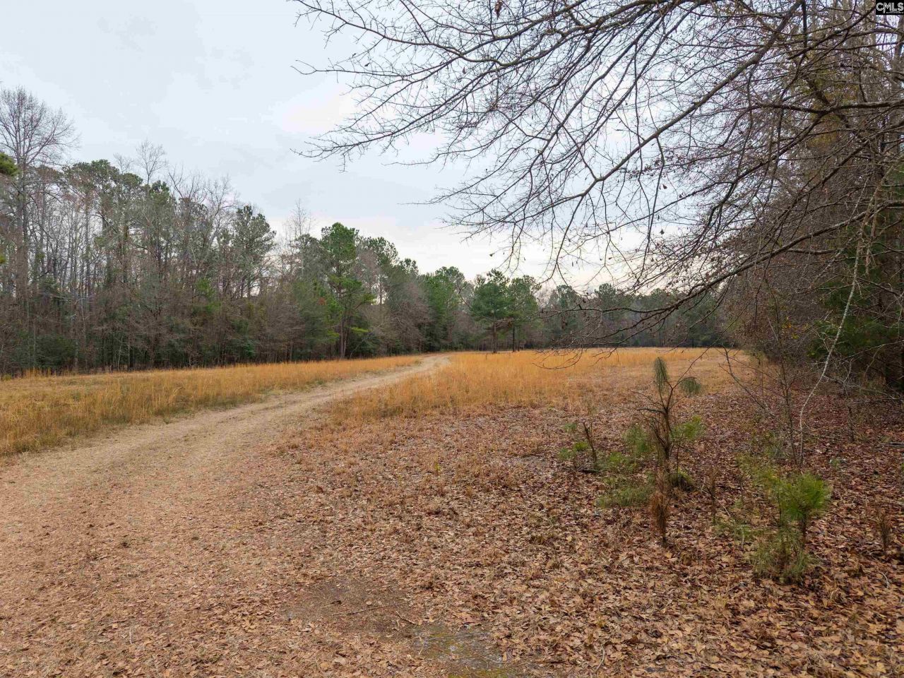 3901 Hardscrabble Road  Photo 12