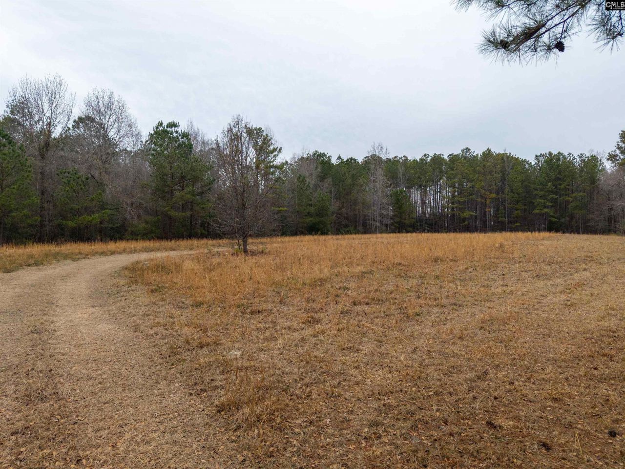 3901 Hardscrabble Road  Photo 15