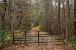 3901 Hardscrabble Road  photo 4