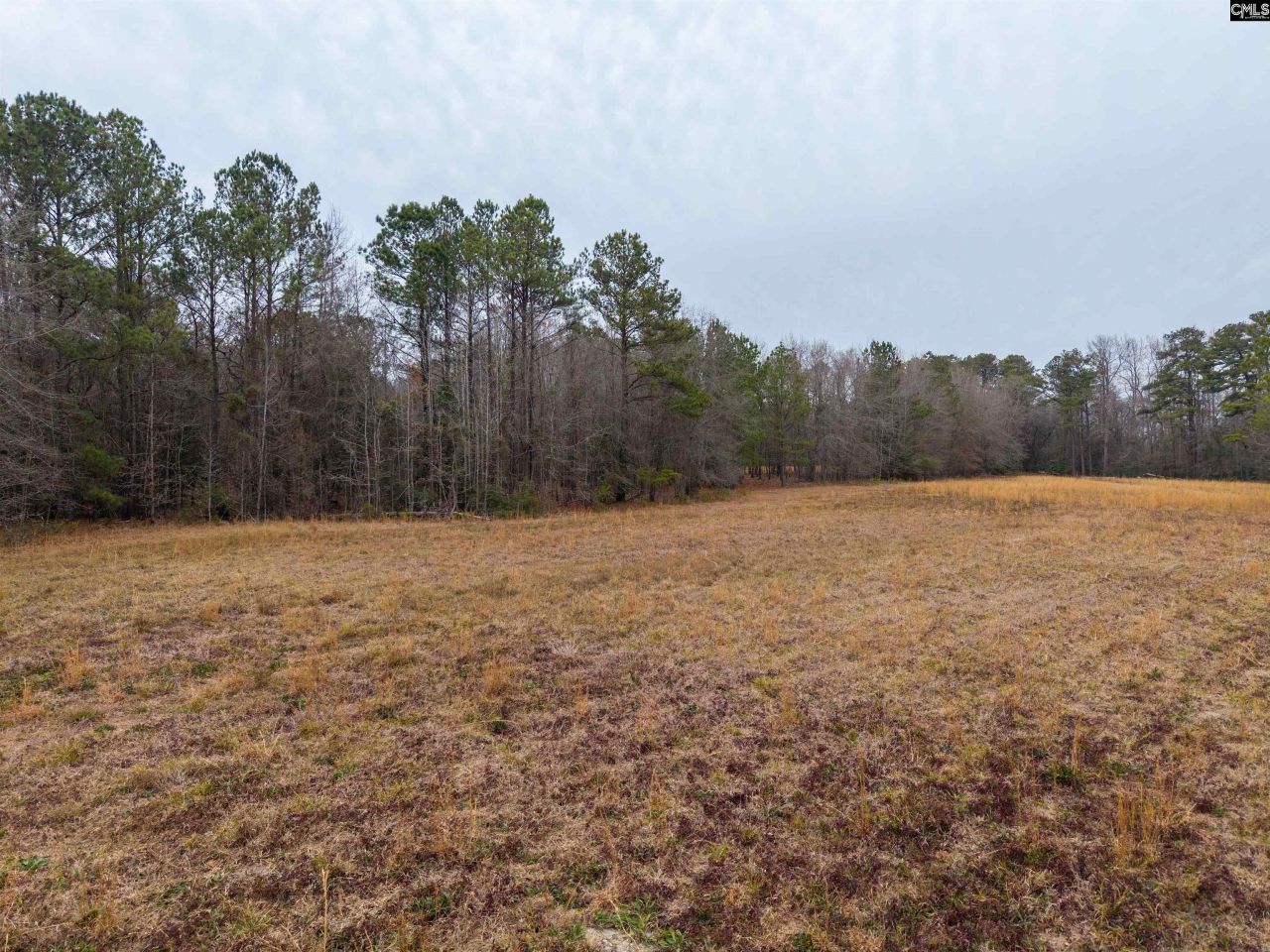 3901 Hardscrabble Road  Photo 6