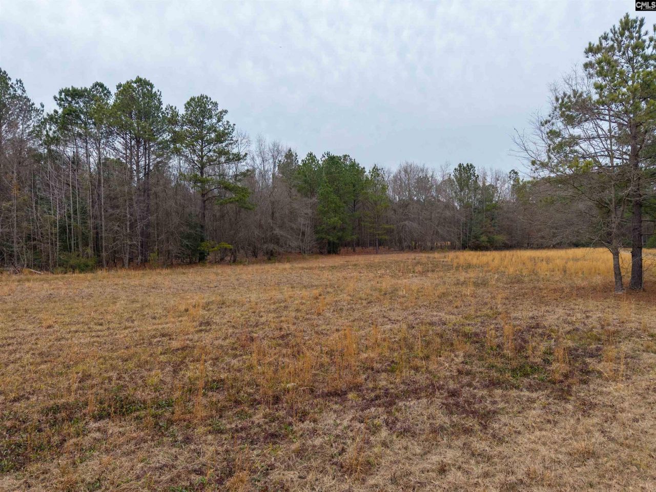 3901 Hardscrabble Road  Photo 7