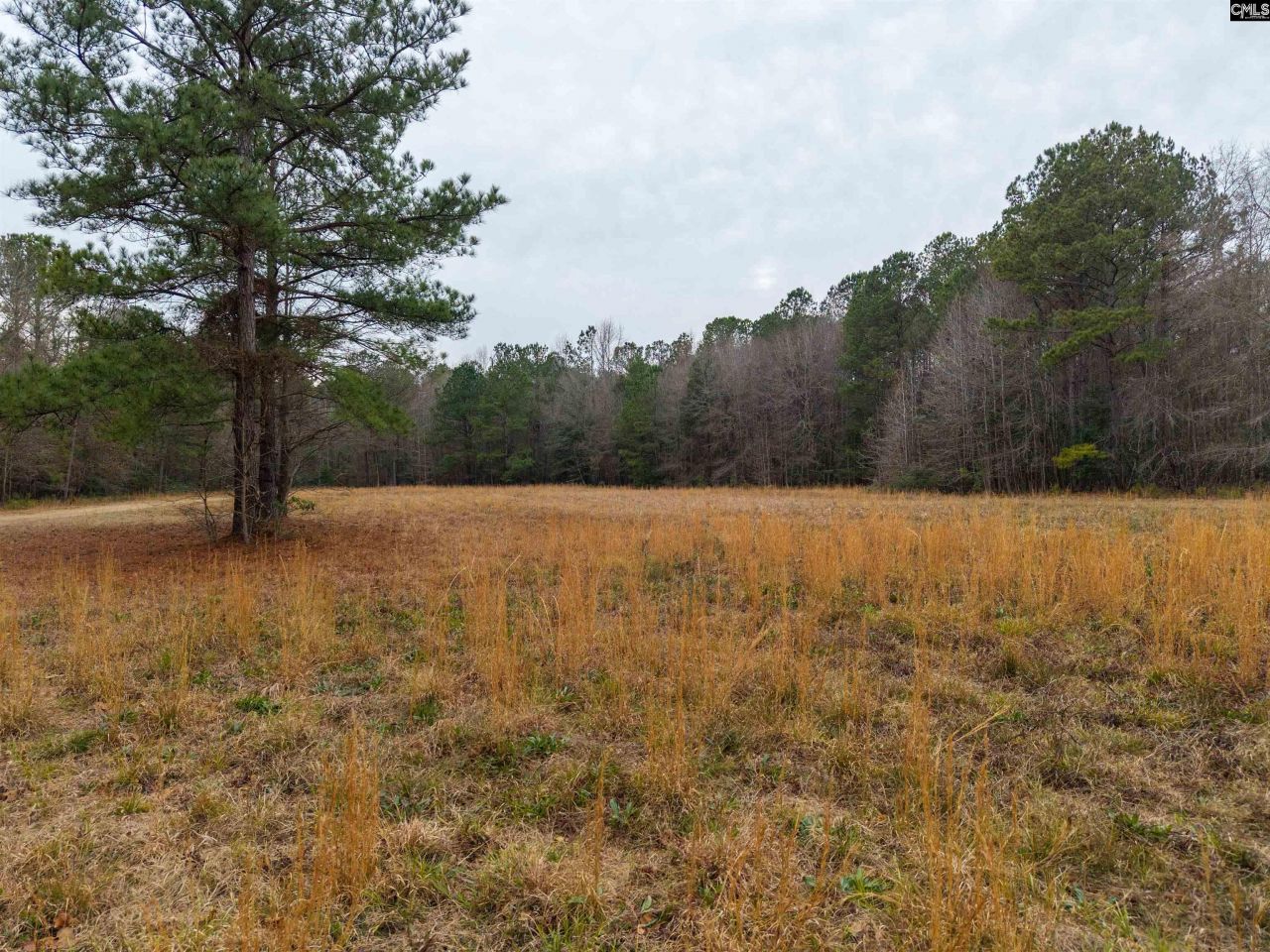 3901 Hardscrabble Road  Photo 8