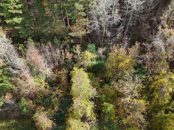 0000 Sr 1100, Blounts Creek, NC 27814