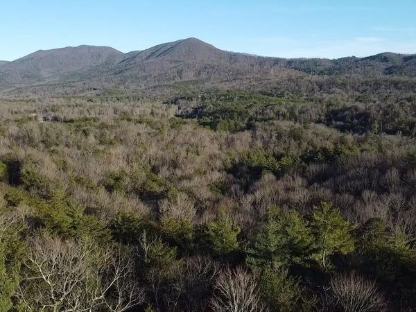 Cooper Hollow Rd, Tellico Plains, TN 37385