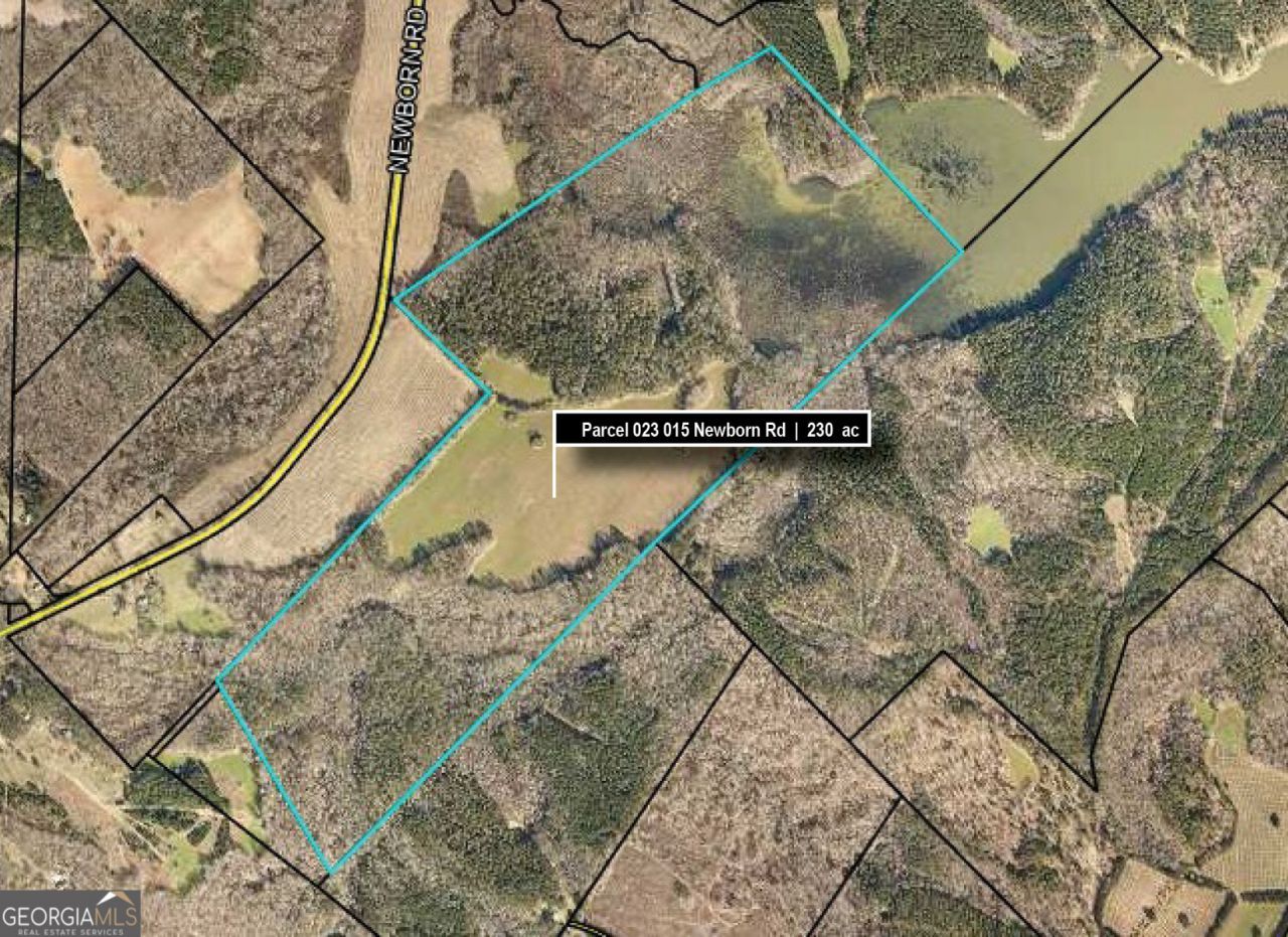 0 Newborn Road, Newborn, GA 30056 Main Photo