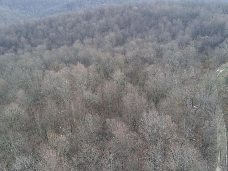 2107 Beekman Ridge Road, Peebles, OH 45660 Photo 10