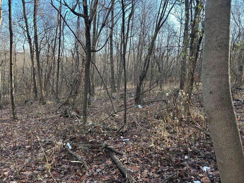 2107 Beekman Ridge Road, Peebles, OH 45660 Photo 11