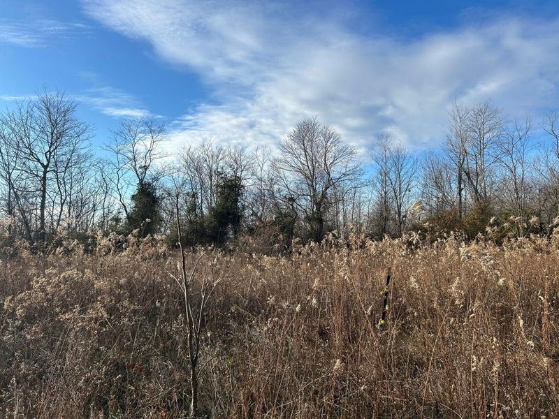 2107 Beekman Ridge Road, Peebles, OH 45660 Photo 2