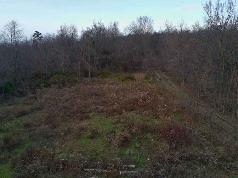 2107 Beekman Ridge Road, Peebles, OH 45660 Photo 5