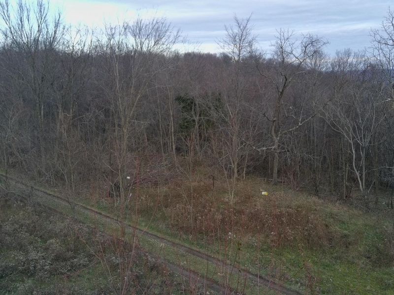 2107 Beekman Ridge Road, Peebles, OH 45660 Photo 6