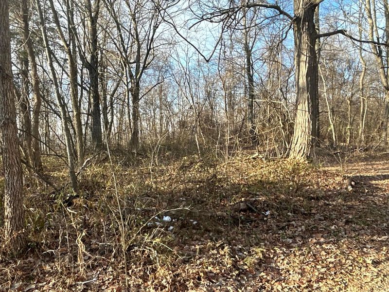 2107 Beekman Ridge Road, Peebles, OH 45660 Photo 7