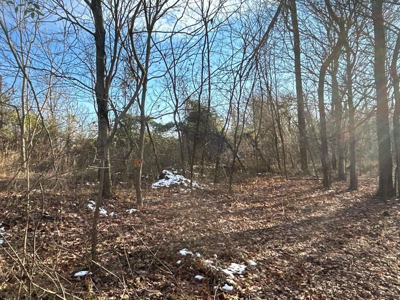 2107 Beekman Ridge Road, Peebles, OH 45660 Photo 8