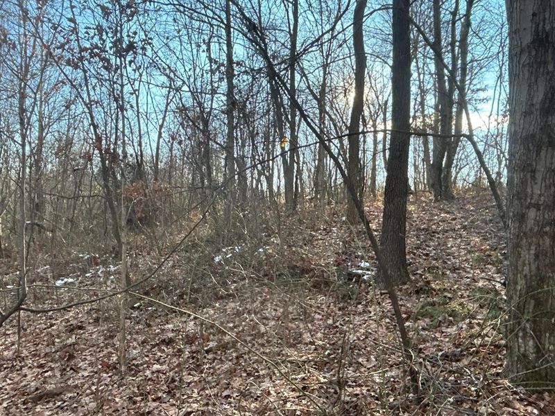 2107 Beekman Ridge Road, Peebles, OH 45660 Photo 9