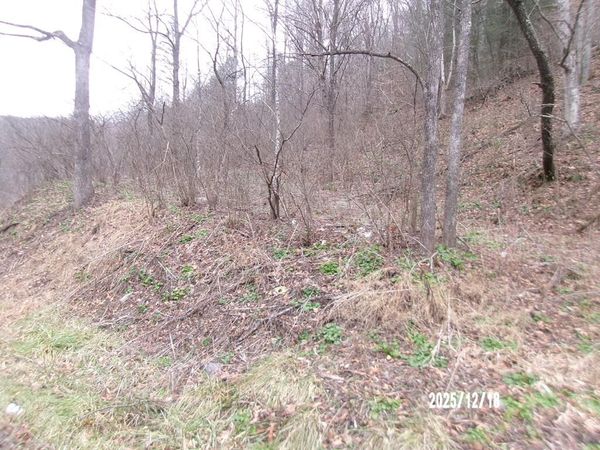 3675 Anawalt Ridge Rd, Anawalt, WV 24808