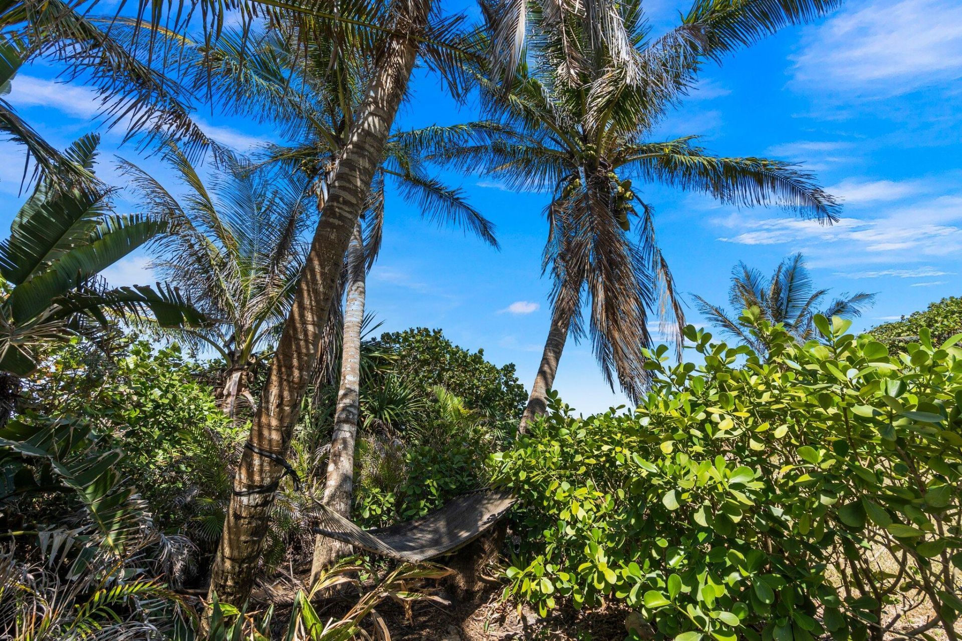 7095 S Hwy A1a, Melbourne Beach, FL 32951 Photo