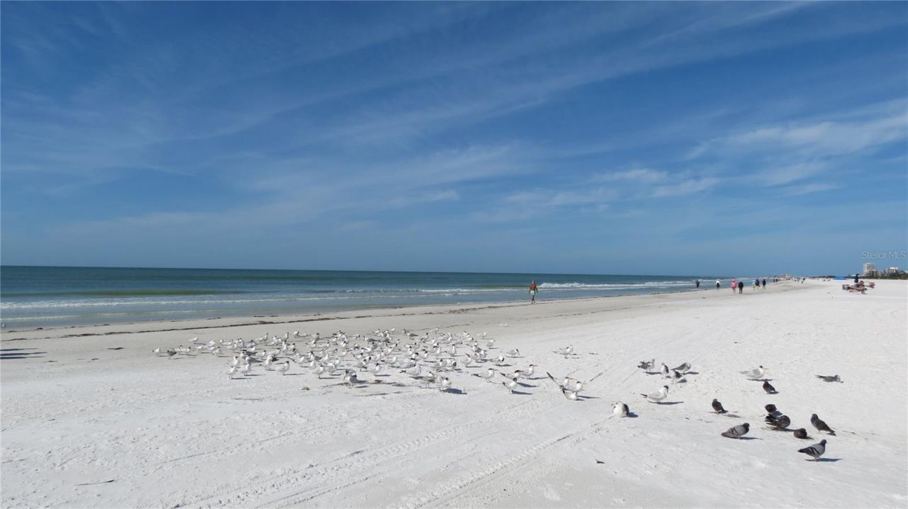 6005 Midnight Pass Road, Unit N4, Sarasota, FL 34242 Photo