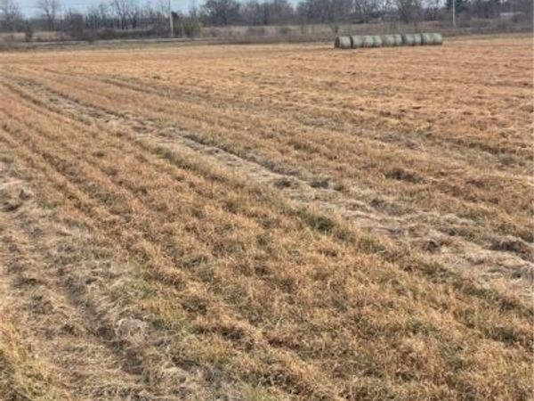 Vaughn Road, Bentonville, AR 72713