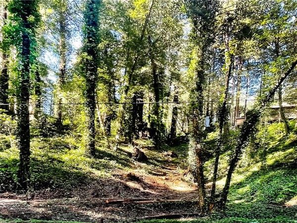 18176 HWY 116, Guerneville, CA 95446