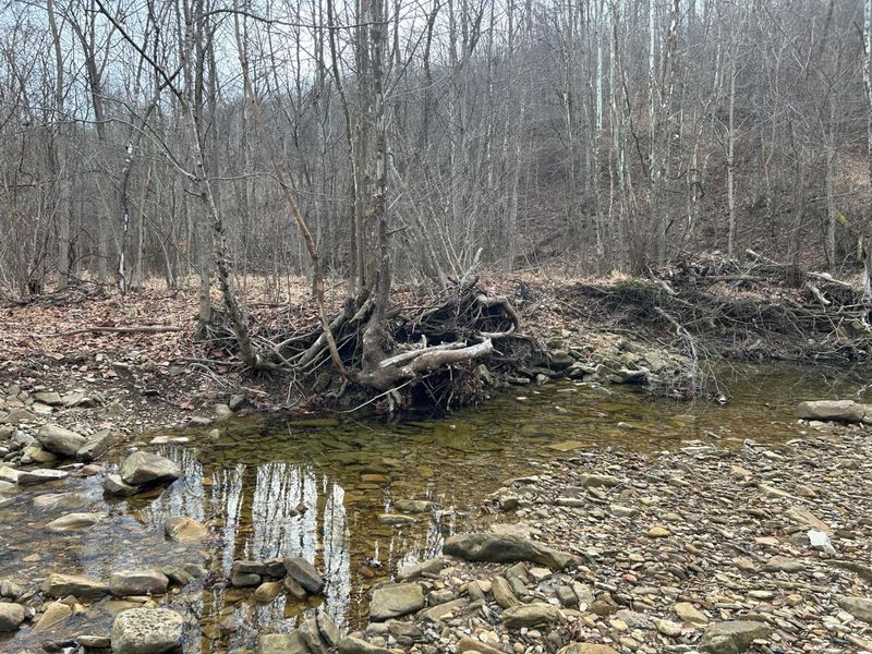 0 Skidmore Hollow Road, Unit lot #5, Lucasville, OH 45648 Photo 36