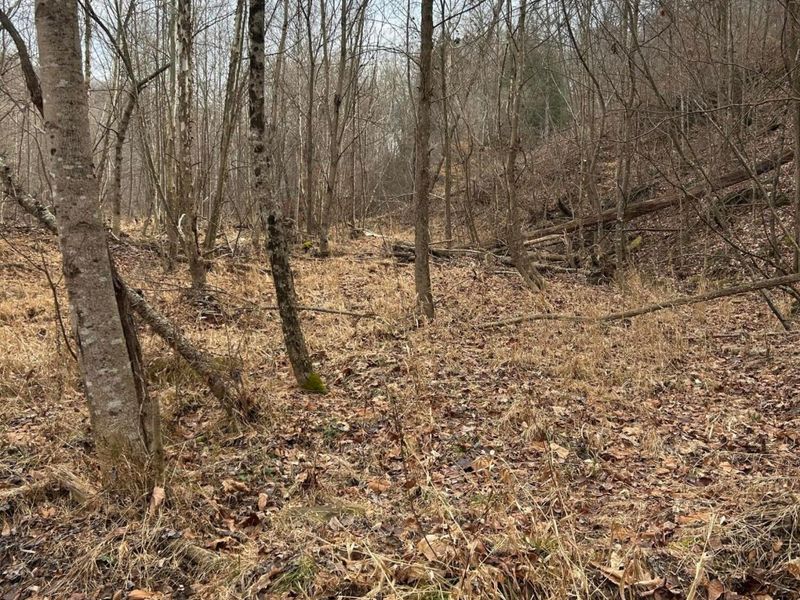 0 Skidmore Hollow Road, Unit lot #5, Lucasville, OH 45648 Photo 38