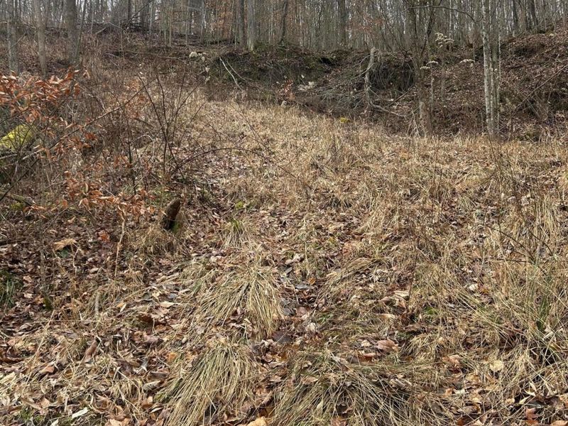 0 Skidmore Hollow Road, Unit lot #5, Lucasville, OH 45648 Photo 39