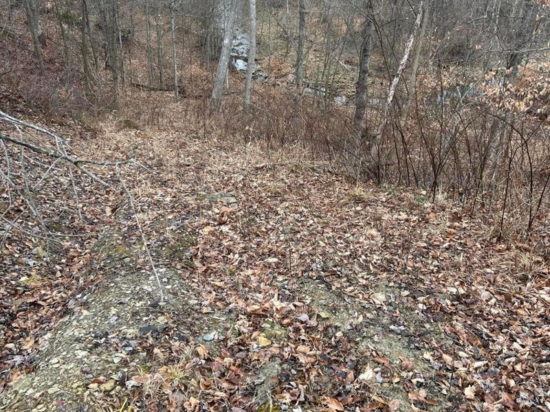 0 Skidmore Hollow Road, Unit lot #5, Lucasville, OH 45648 Photo 40