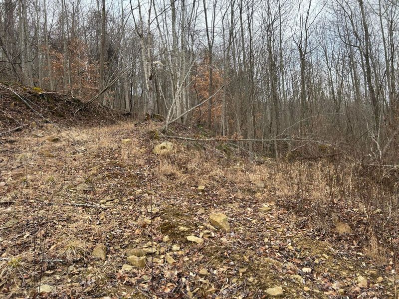 0 Skidmore Hollow Road, Unit lot #5, Lucasville, OH 45648 Photo 41
