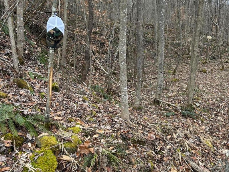 0 Skidmore Hollow Road, Unit lot #5, Lucasville, OH 45648 Photo 42