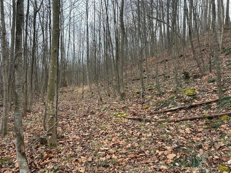 0 Skidmore Hollow Road, Unit lot #5, Lucasville, OH 45648 Photo 43