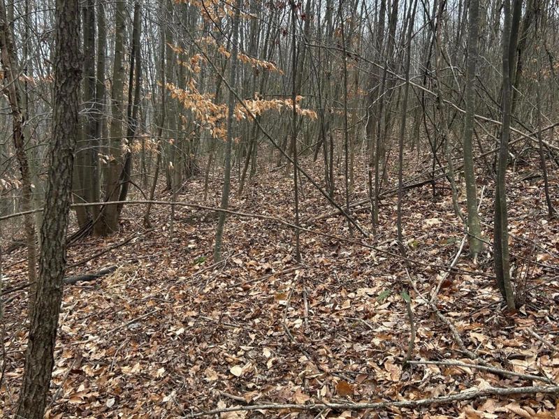 0 Skidmore Hollow Road, Unit lot #5, Lucasville, OH 45648 Photo 45