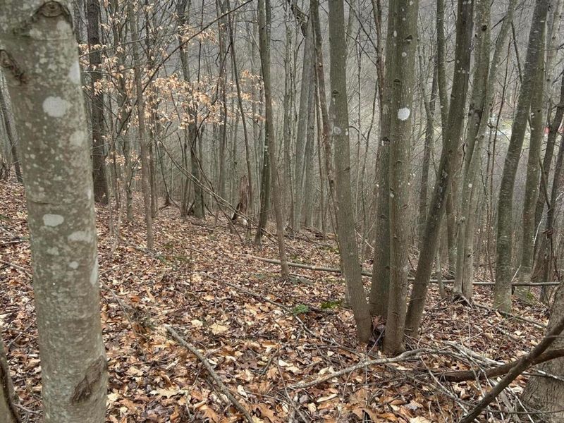 0 Skidmore Hollow Road, Unit lot #5, Lucasville, OH 45648 Photo 46