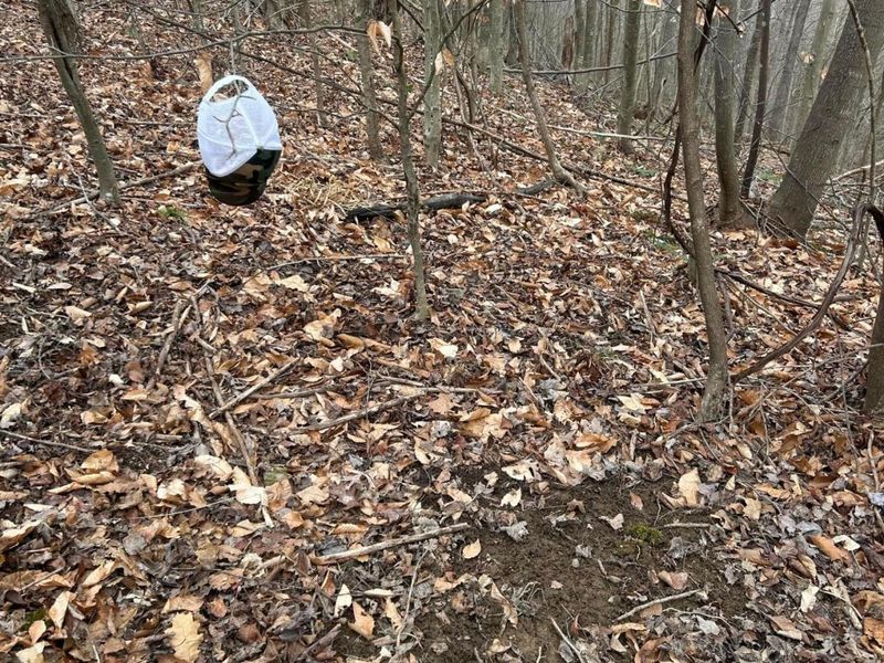 0 Skidmore Hollow Road, Unit lot #5, Lucasville, OH 45648 Photo 47