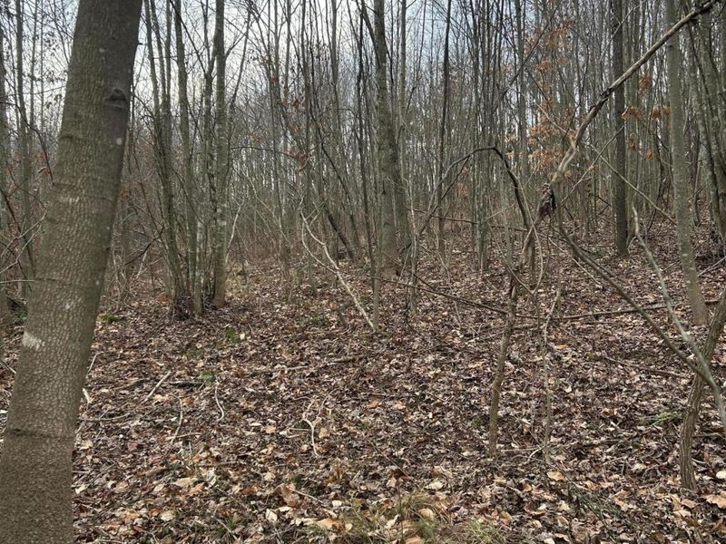 0 Skidmore Hollow Road, Unit lot #5, Lucasville, OH 45648 Photo 48