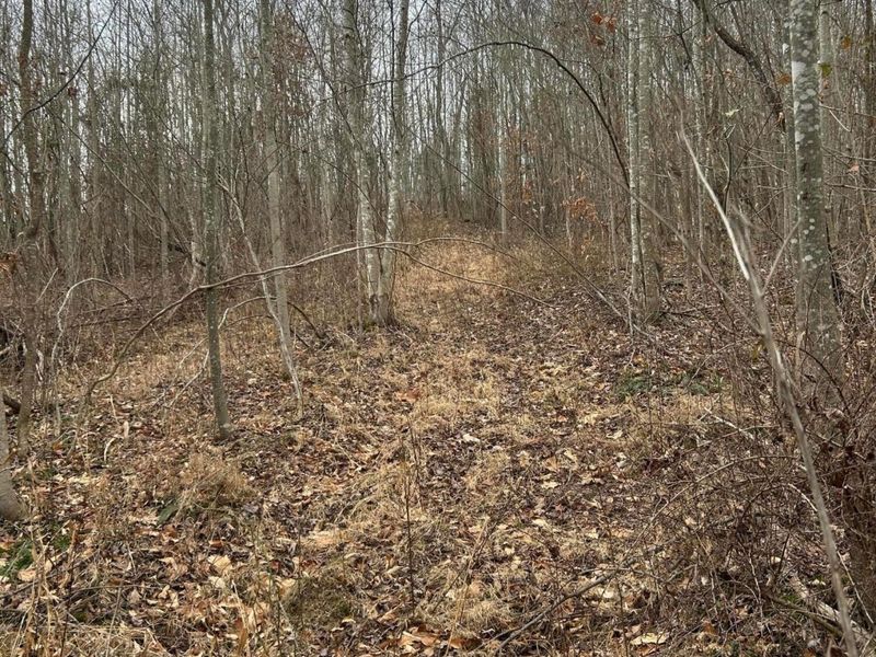 0 Skidmore Hollow Road, Unit lot #5, Lucasville, OH 45648 Photo 49