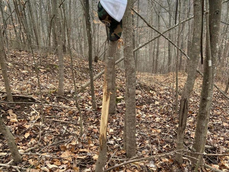 0 Skidmore Hollow Road, Unit lot #5, Lucasville, OH 45648 Photo 50