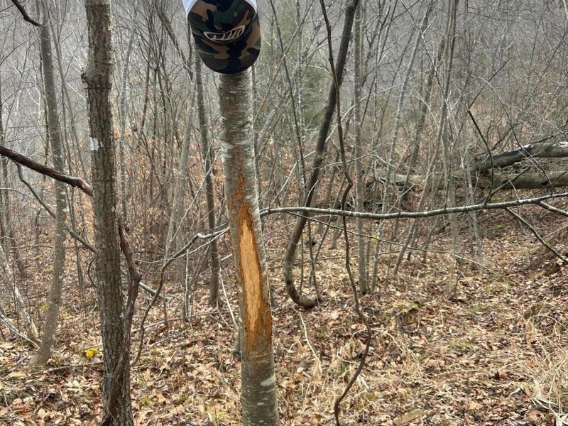 0 Skidmore Hollow Road, Unit lot #5, Lucasville, OH 45648 Photo 51