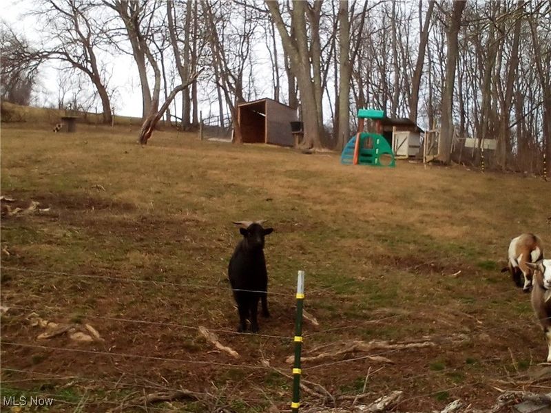 77900 Slater Road, Cadiz, OH 43907 Photo 5