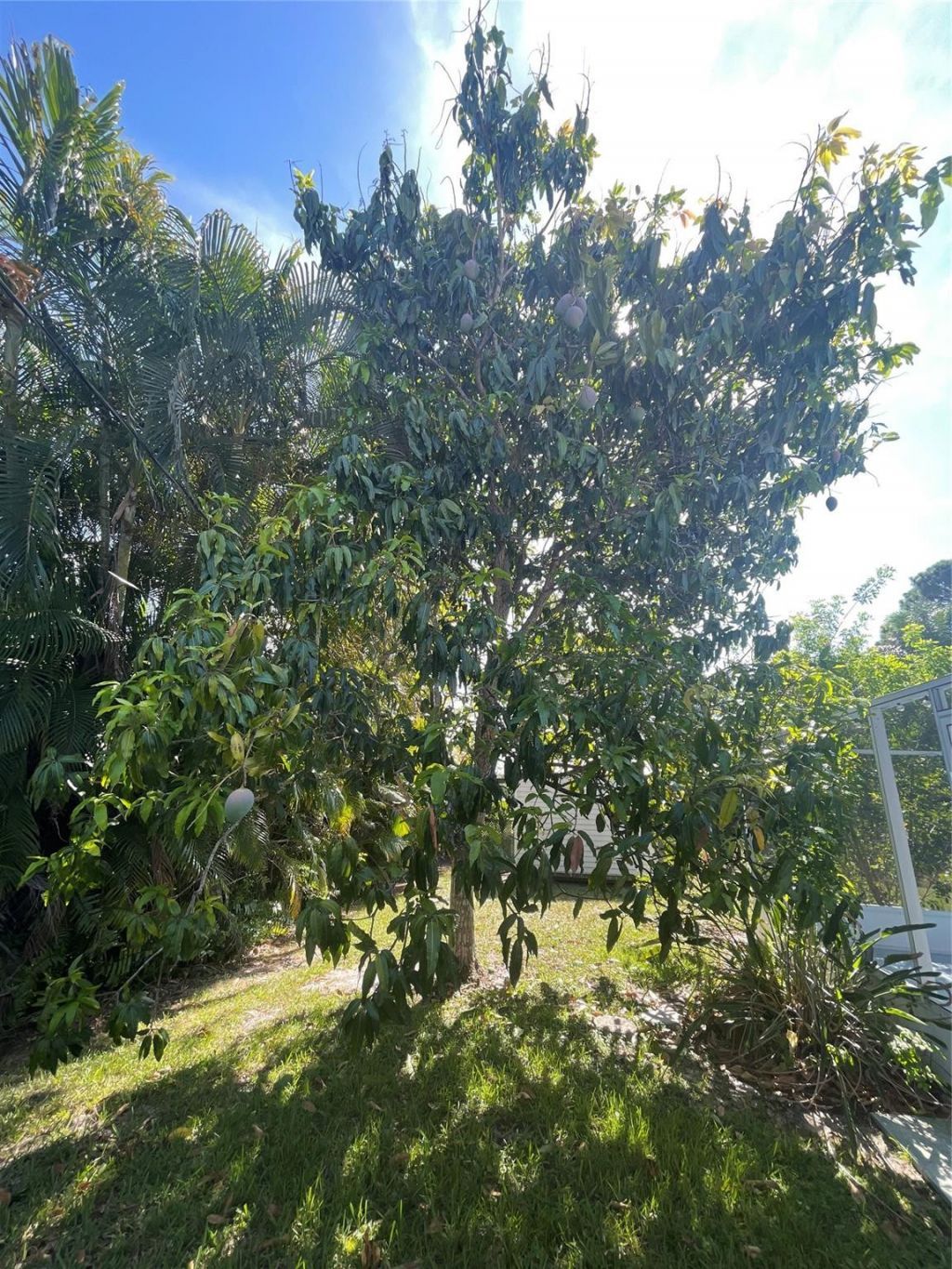 1150 SW Jumper Street, Port Saint Lucie, FL 34983 Photo