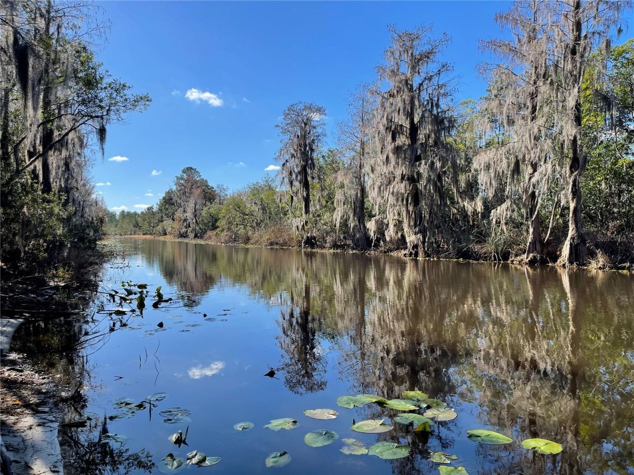 24510 NE State Rd 26, Melrose, FL 32666 Photo