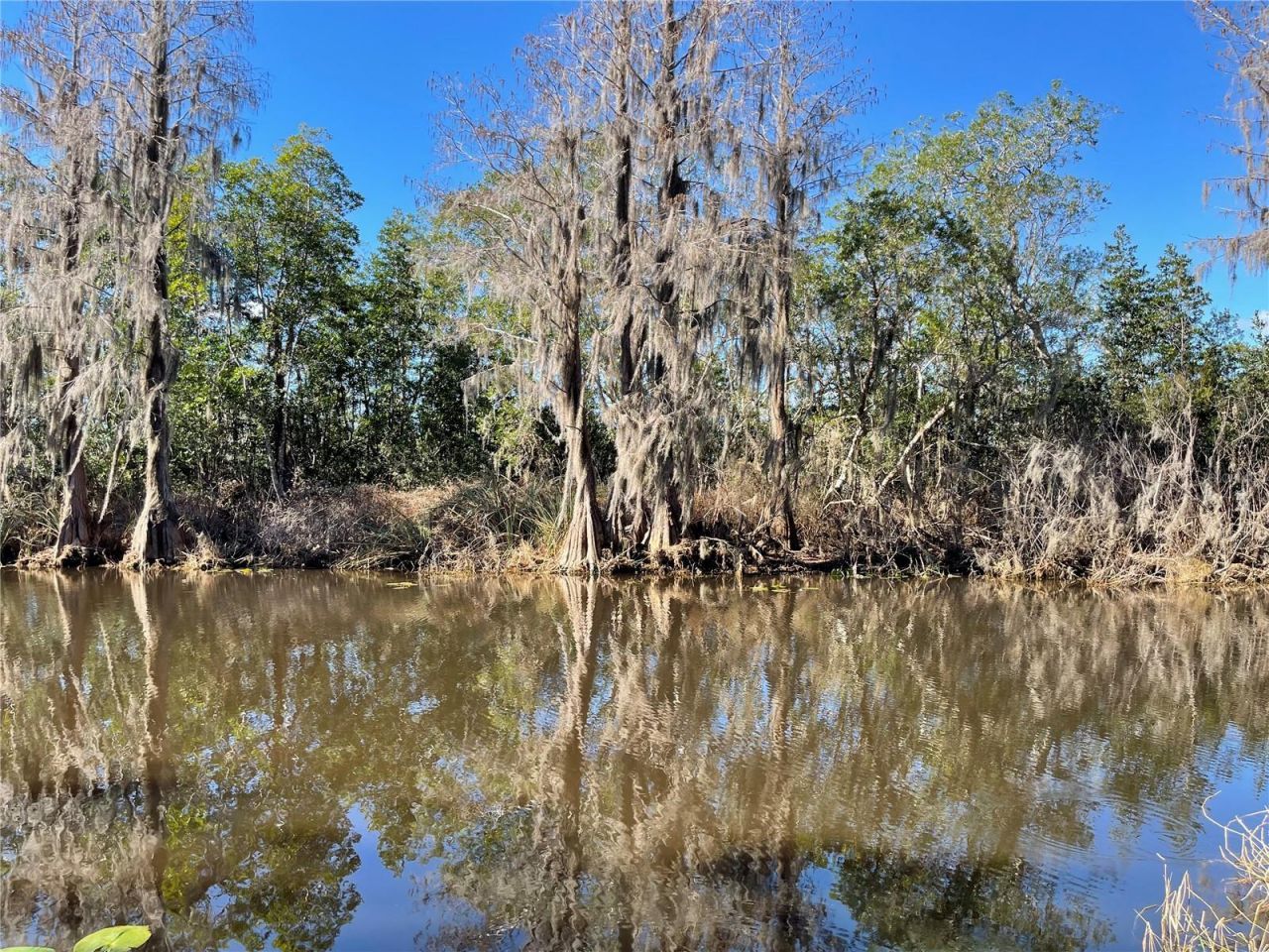 24510 NE State Rd 26, Melrose, FL 32666 Photo