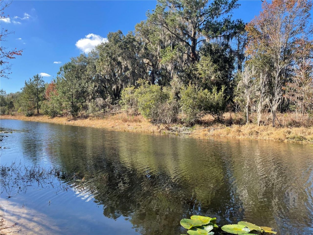 24510 NE State Rd 26, Melrose, FL 32666 Photo