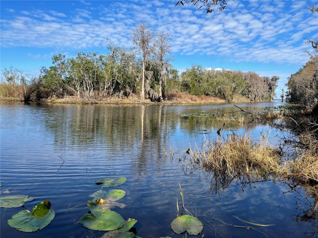 24510 NE State Rd 26, Melrose, FL 32666 Photo