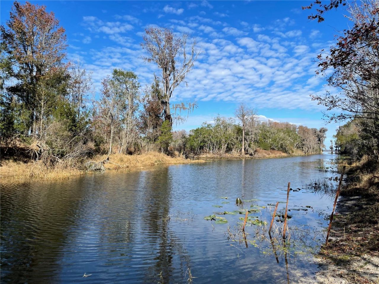 24510 NE State Rd 26, Melrose, FL 32666 Photo